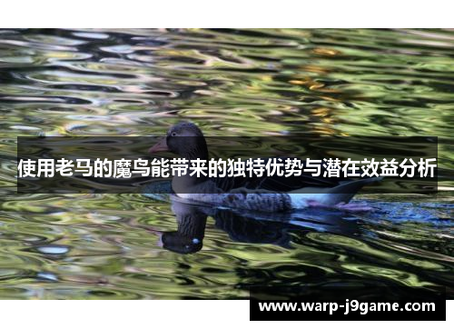 使用老马的魔鸟能带来的独特优势与潜在效益分析 使用老马的魔鸟能带来的独特优势与潜在效益分析