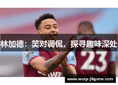 林加德：笑对调侃，探寻趣味深处