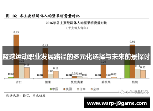 篮球运动职业发展路径的多元化选择与未来前景探讨 篮球运动职业发展路径的多元化选择与未来前景探讨