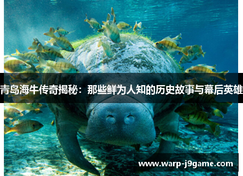 青岛海牛传奇揭秘：那些鲜为人知的历史故事与幕后英雄